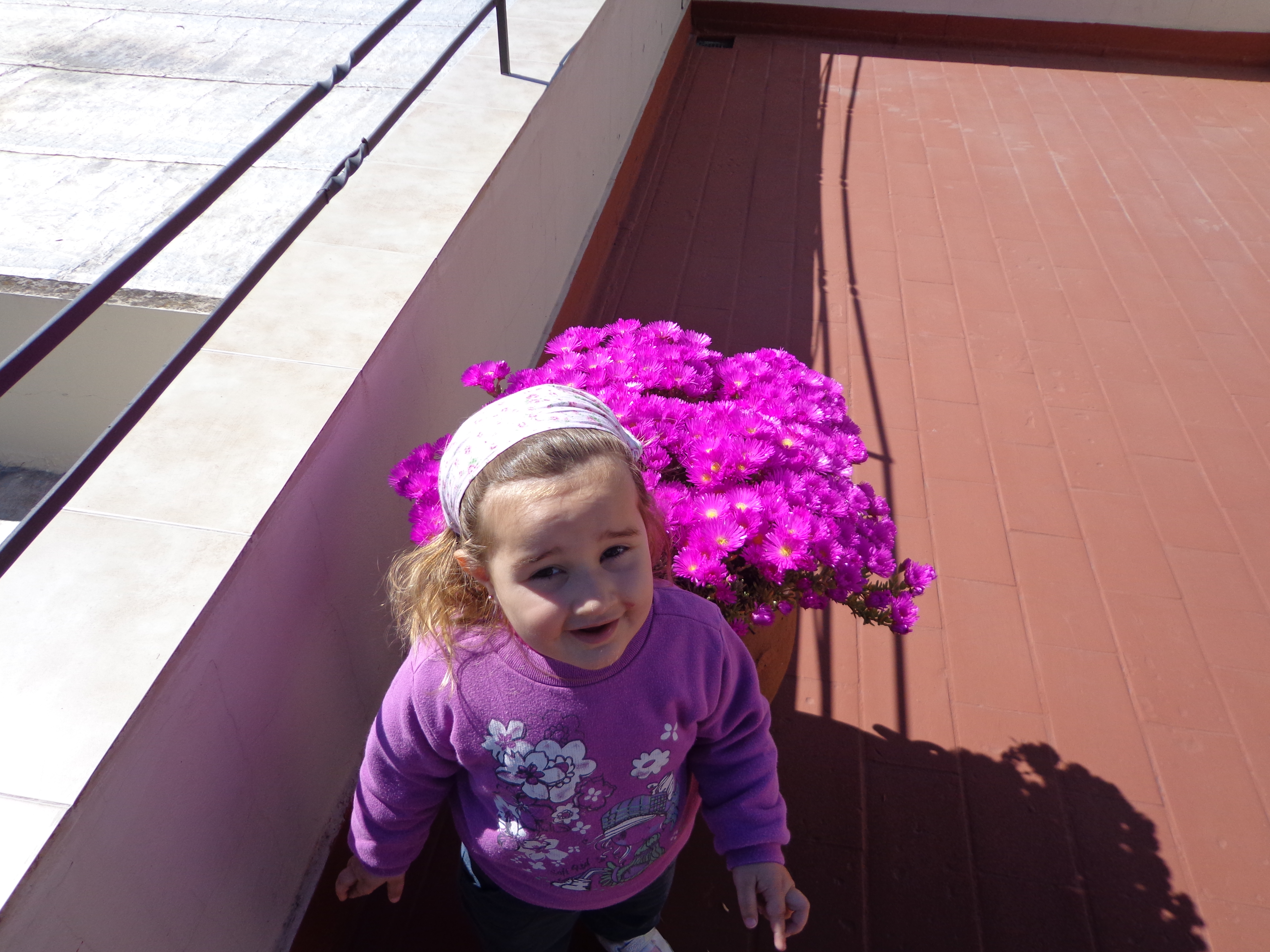 fotos/2012-12-25 - Iara con el tio y las flores/DSC00070.JPG